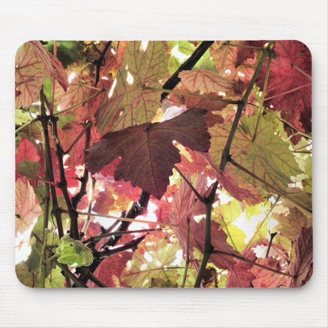 AUTUMN MUSMATTA (Framsidan)