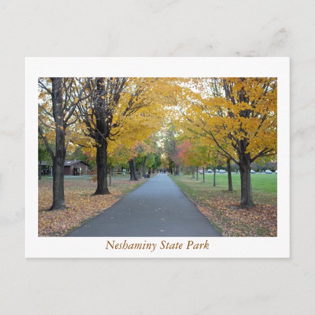 Autumn Neshaminy State Park Vykort (Framsida)