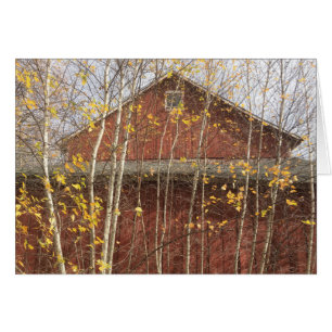 Autumn New England Barn OBS Kort