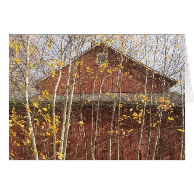 Autumn New England Barn OBS Kort (Framsidan Horizontal)