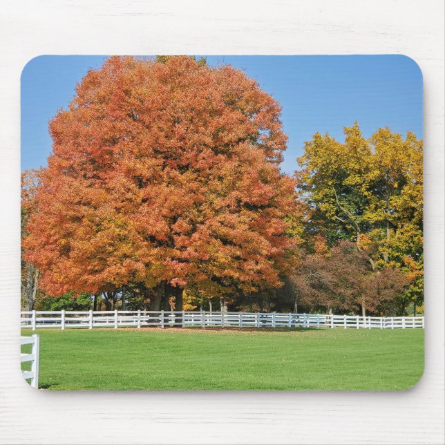 Autumn Oak Träd Musmatta (Framsidan)