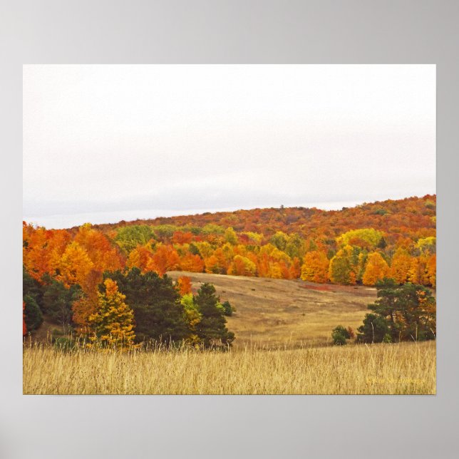 "AUTUMN PALETTE/MICHIGAN COUNTRYSIDE" POSTER (Framsidan)