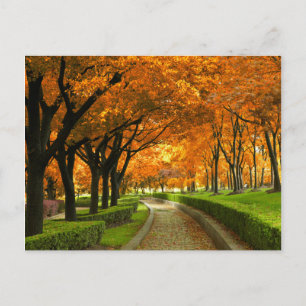 Autumn Park Vykort