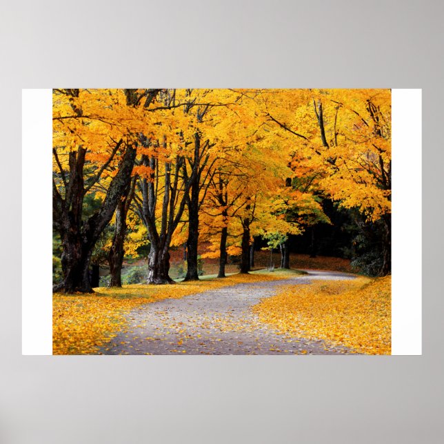 Autumn Pathway Poster (Framsidan)