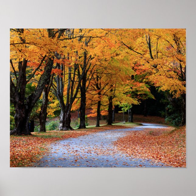 Autumn Pathway Poster (Framsidan)