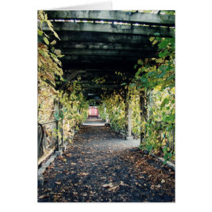 Autumn Pergola Hälsningskort