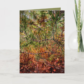 Autumn Pine Needles  Kort