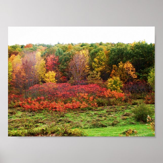 AUTUMN POSTER (Framsidan)