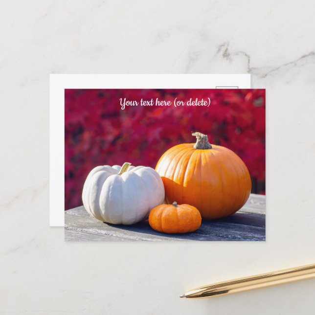 Autumn Pumpkins Holiday Postcard Helg Vykort (Fram/Back In Situ)