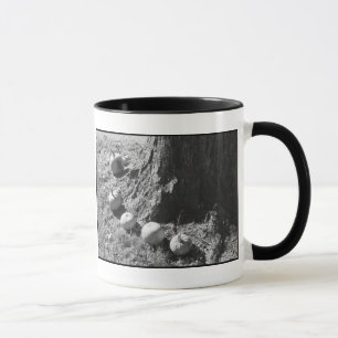 Autumn Pumpkins Mugg