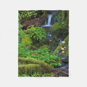 Autumn Rainforest Nationalpark i Olympiska spele Fleecefilt