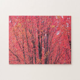 Autumn Red - Fall Träd Pussel