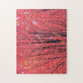 Autumn Red - Fall Träd Pussel