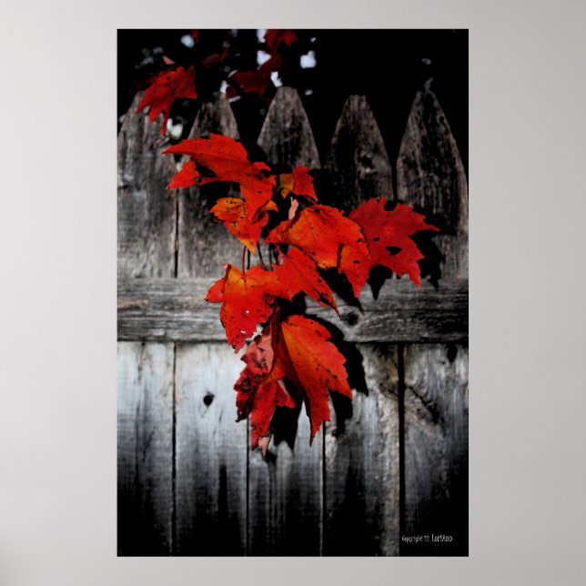 Autumn Red Poster (Framsidan)