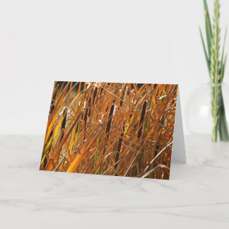 Autumn Reeds nummer 6 Kort