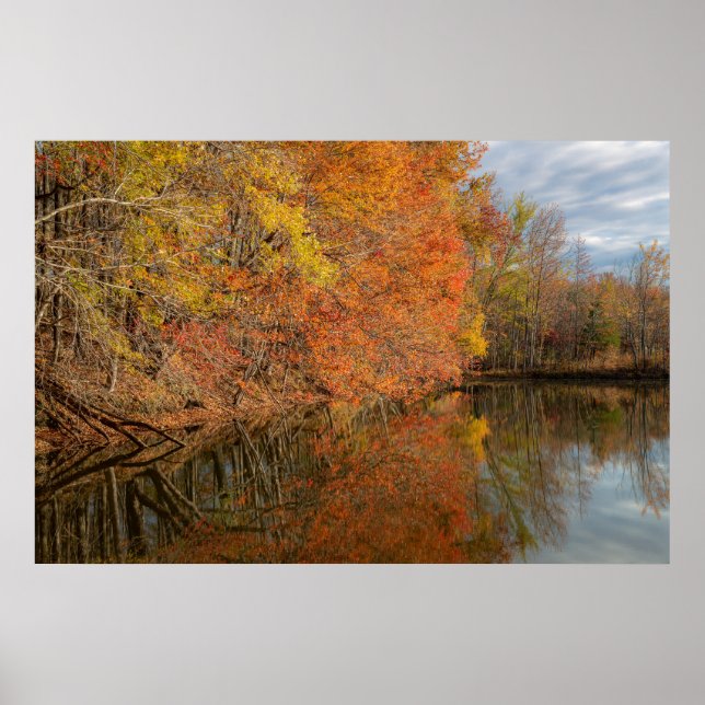 Autumn Reflections  Poster (Framsidan)