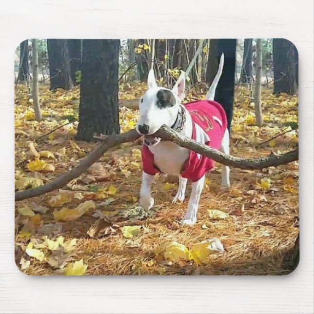 Autumn Rex mousepad Musmatta (Framsidan)