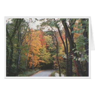 Autumn Road Hälsningskort