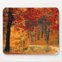Autumn Road