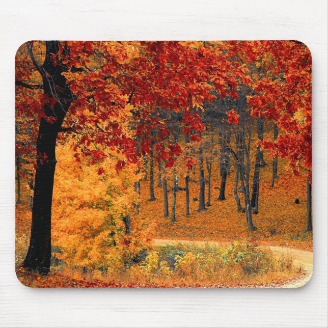 Autumn Road Musmatta (Framsidan)