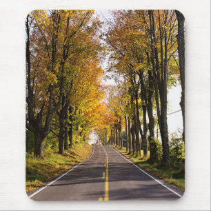 Autumn Road Musmatta