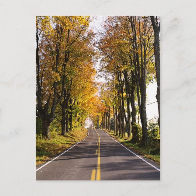 Autumn Road Vykort (Framsida)