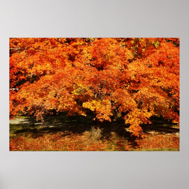 Autumn Rust Poster (Framsidan)