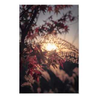 Autumn Scenery in Japan　2023 Fototryck