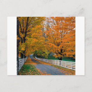 Autumn Scenia Backroad New Hampshire Vykort