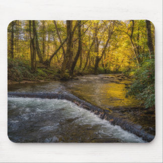 Autumn Serenity Forest Mousepad Musmatta