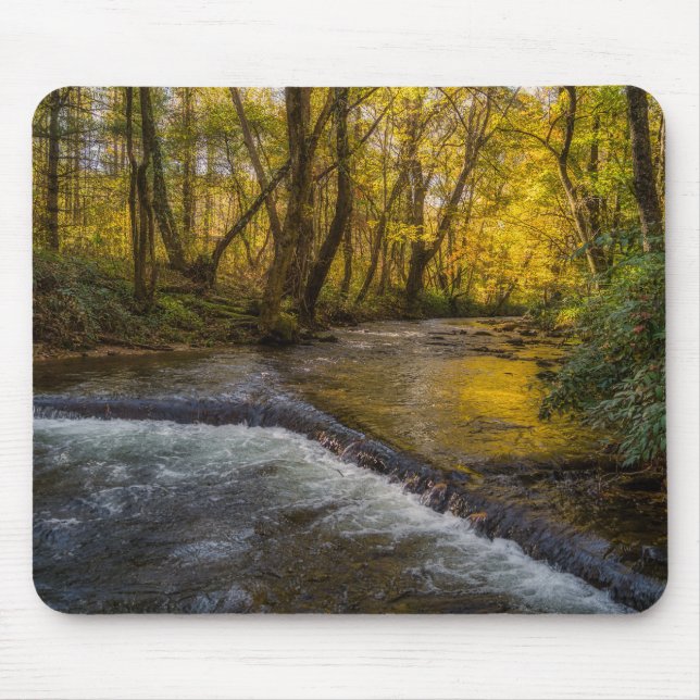 Autumn Serenity Forest Mousepad Musmatta (Framsidan)