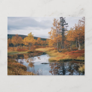 Autumn Sergranaten Finska Ruska Reflection Vykort