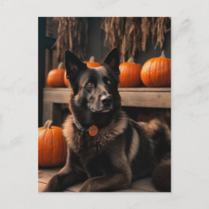 Autumn Shepherd Vykort