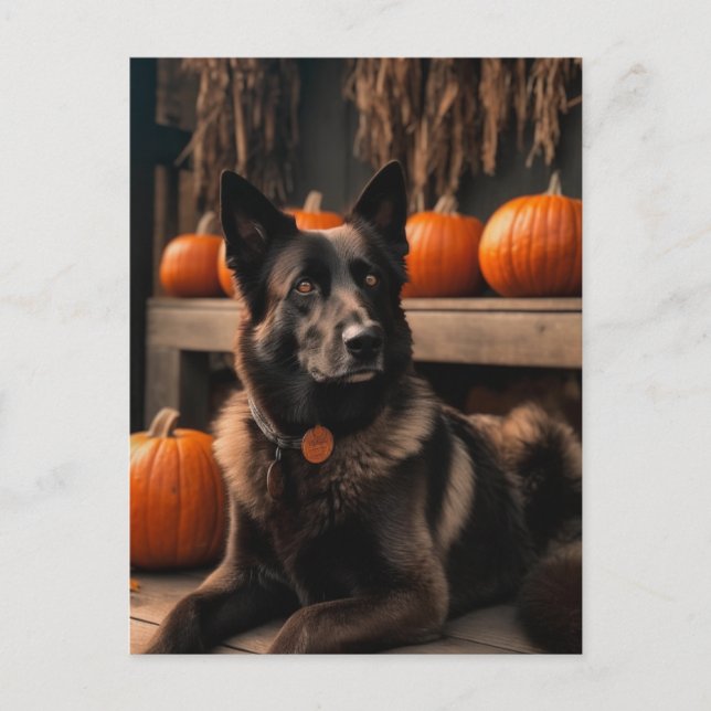 Autumn Shepherd Vykort (Framsida)