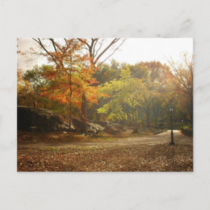Autumn Sol Rays, Central Park, New York City Vykort
