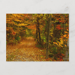 Autumn Splendor i New England Vykort