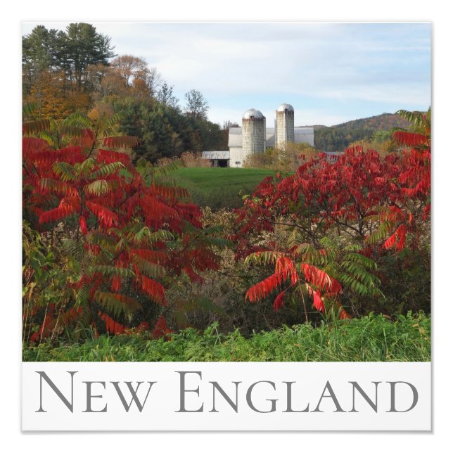 Autumn Splendor New England Höst färger Fototryck (Framsidan)