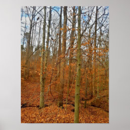 Autumn Stream Poster