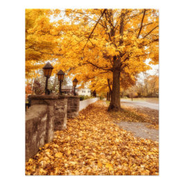 Autumn Street Scene| Gult Löv Fototryck