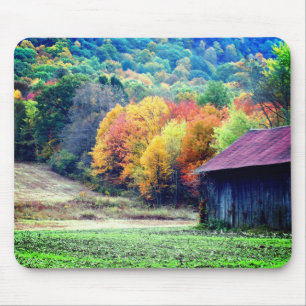 Autumn Tobacco Barn Nature Musmatta