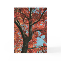AUTUMN (tomt kort)
