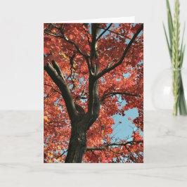 AUTUMN (tomt kort) Kort