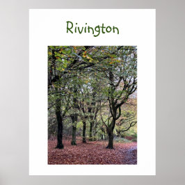 Autumn Träd Rivington Poster
