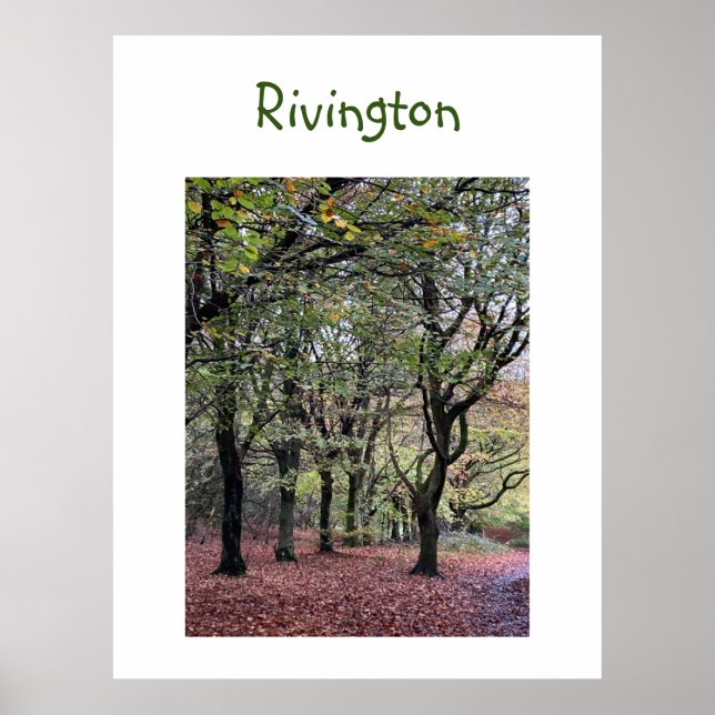 Autumn Träd Rivington Poster (Framsidan)