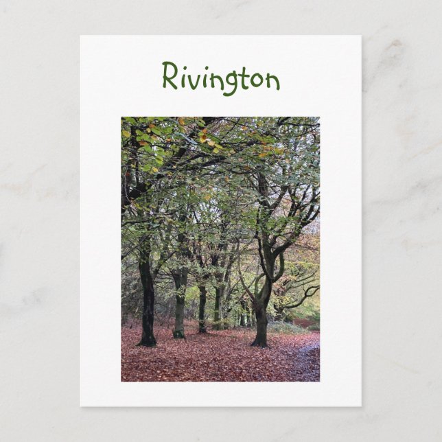 Autumn Träd Rivington Vykort (Framsida)