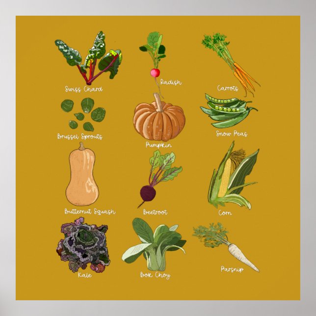 Autumn Veggies Fall Vegetable Harvest Poster (Framsidan)