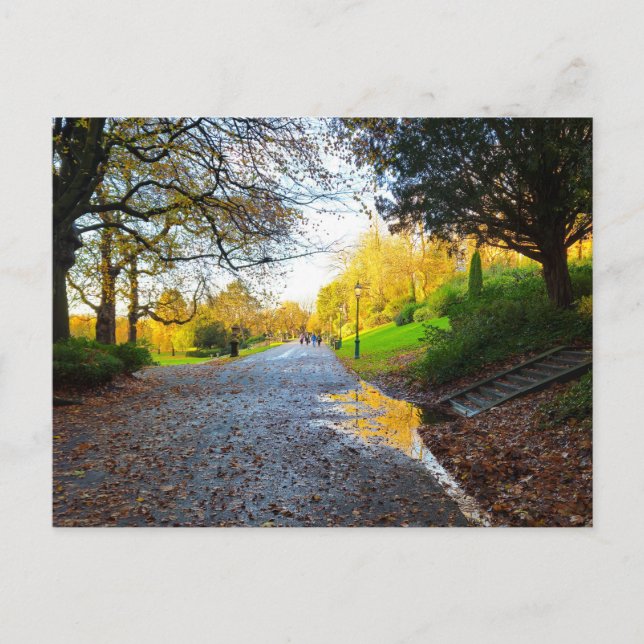 Autumn  vykort (Framsida)