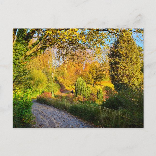 Autumn  vykort (Framsida)