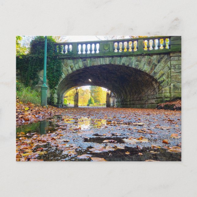 Autumn  vykort (Framsida)