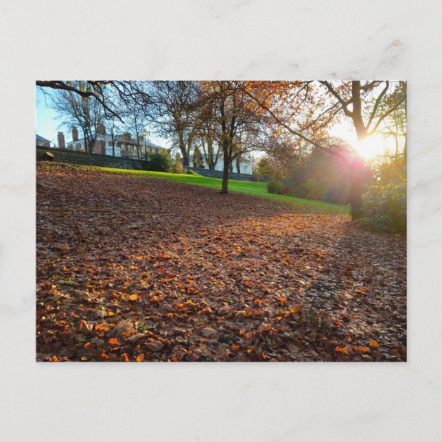 Autumn  vykort (Framsida)